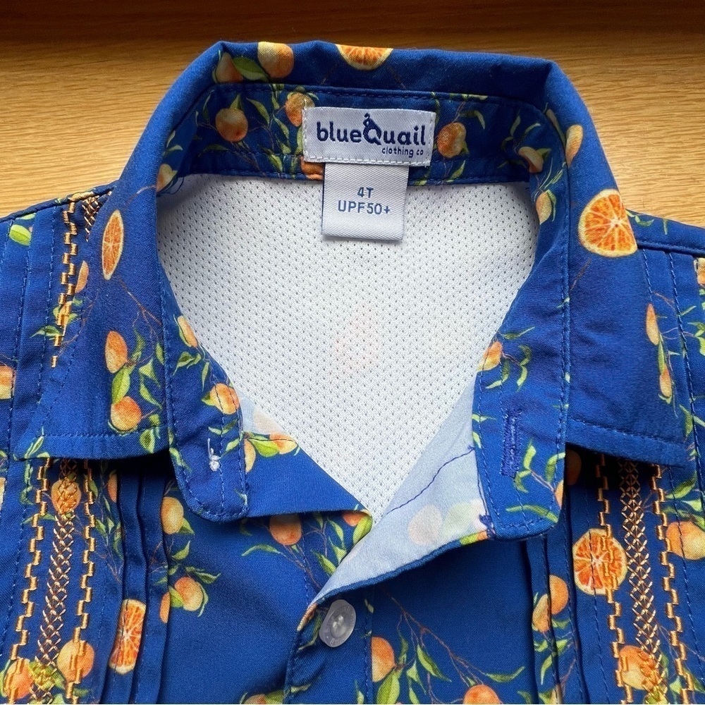 Blue Quail Guayabera Sleeveless Dress in Citrus Pattern Size 4T. EUC - Picture 2 of 10
